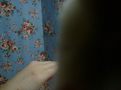 フクロモモンガ