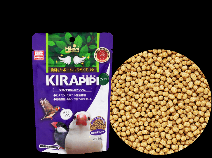 ウロコインコの仲間