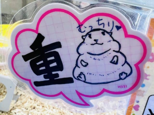 ロボロフスキーハムスター