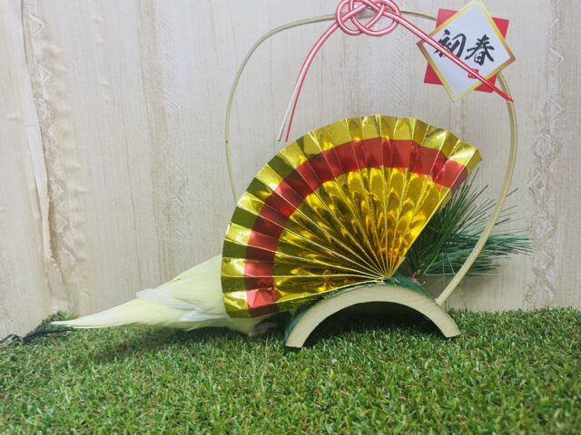 サザナミインコ