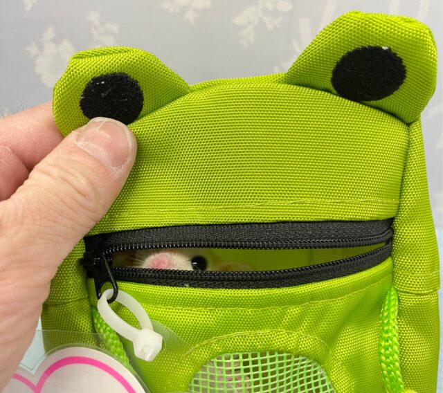 フクロモモンガ