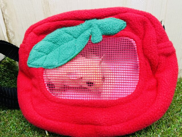 フクロモモンガ