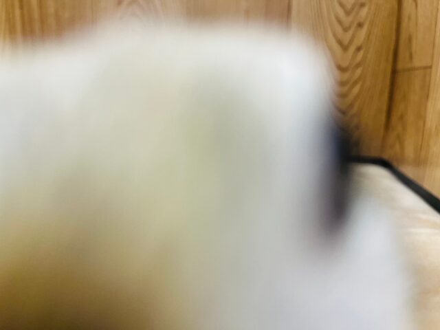 リチャードソンジリス