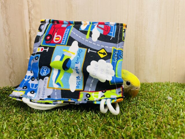 コザクラインコ（小桜インコ）