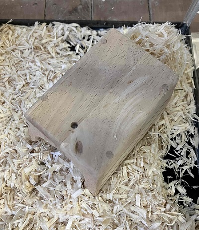 ちっちゃくても存在感抜群!カラーハムスターの男のコ ゴールデンハムスター