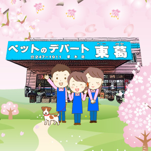 子犬のページへ