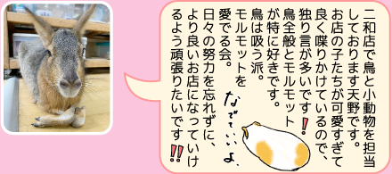 東葛ペット船橋二和店のスタッフ｜天野のご紹介