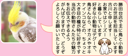 東葛ペット勝田台店のスタッフ｜古川のご紹介