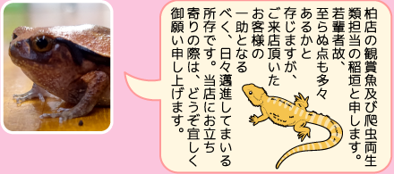 東葛ペット柏店のスタッフ｜稲垣のご紹介