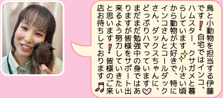 チェリーハウス千葉店のスタッフ｜伊藤のご紹介