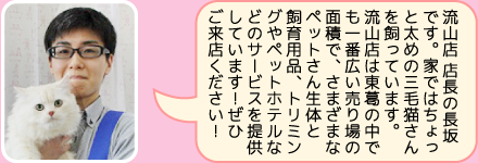 東葛ペット流山店の店長｜長坂のご紹介
