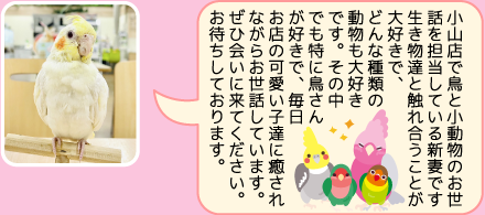 ペツクローバー小山店のスタッフ｜新妻のご紹介