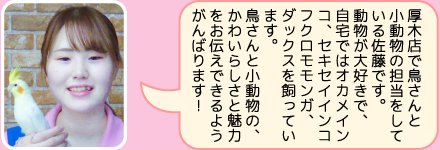 東葛ペット厚木店のスタッフ｜佐藤のご紹介
