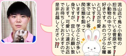 東葛ペット流山店のスタッフ｜菅原のご紹介介