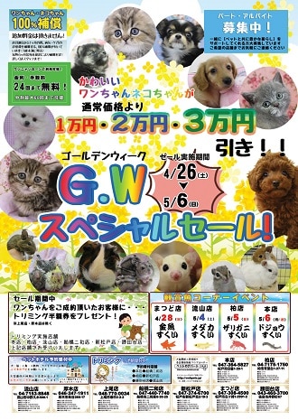 ゴールデンウィーク スペシャルセール! ゴールデンウィーク スペシャルセール!