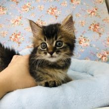 元気いっぱい💛ソマリくんが入舎しましたよ～♪