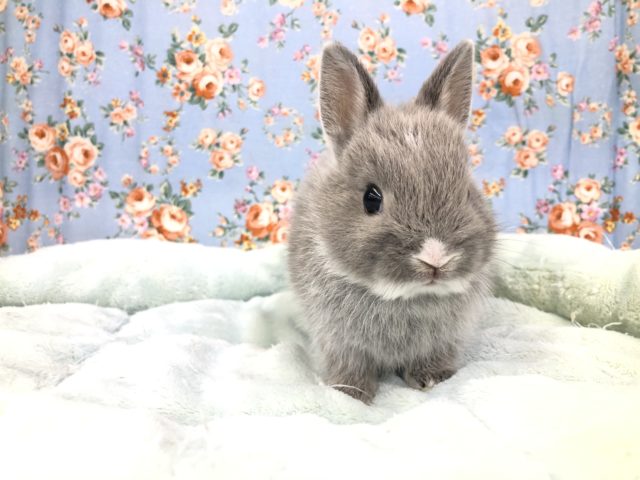 どんな大きさになるかな？　８／２５撮影