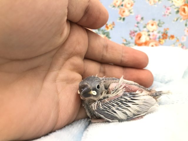 お久しぶりです　9/１５撮影