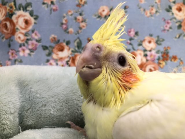 今週も来ましたよ！　１０／6撮影