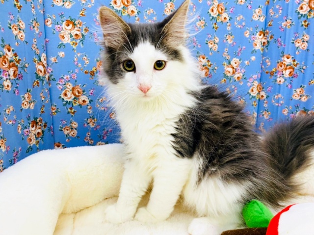 大きくなるよ✨やんちゃな甘えん坊BOY‼️