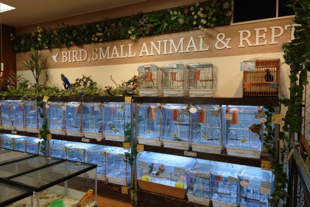 新店舗　小山店　オープンいたしました！