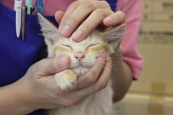 ギャップ萌えｷｭﾝ💛イケメンラパーマさんがやって来た♩