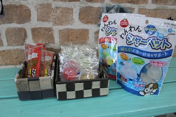 夏休み企画☆犬猫用品お買い上げでプレゼント☆