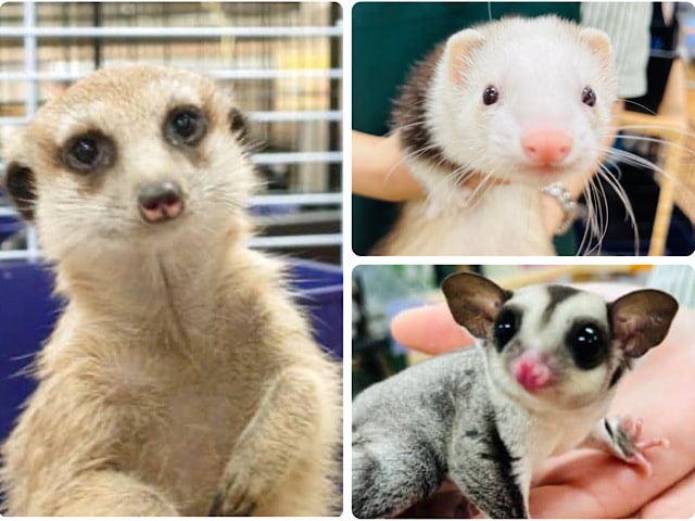 ＼小山店限定／【11月末までの期間限定です！】プレゼント企画‪☆‪☆‪