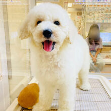 一瞬で心を奪われる激カワBig Baby！