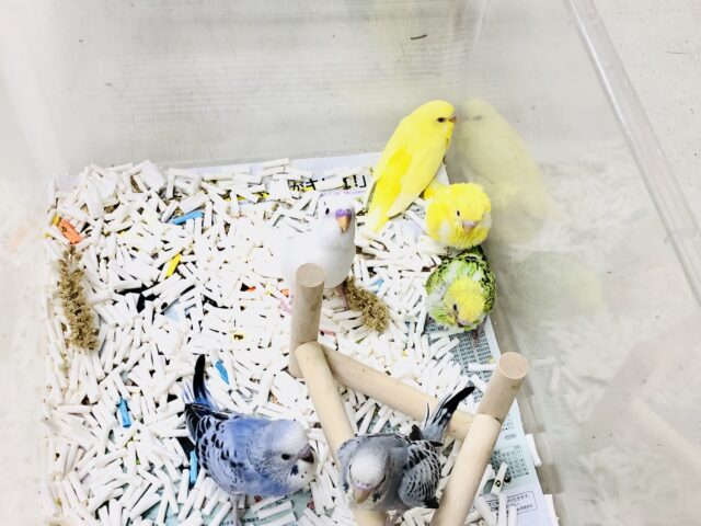 あ～夏休み～　お世話に時間をかけられる季節ですね　