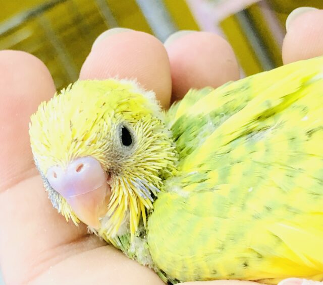 残暑に負けず！！さっぱりフレッシュカラー！