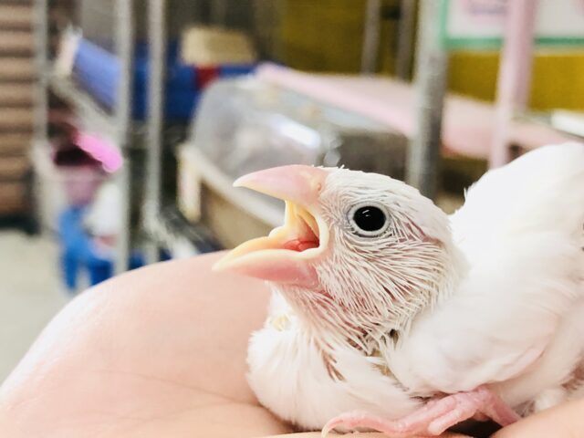 いや〜お久しぶりですね〜　ついに入舎です