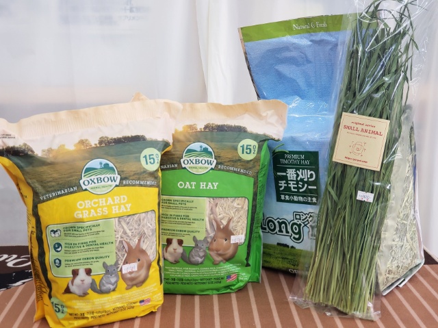 今月も開催！ 牧草をいっぱい食べよう～🌿 草食動物フェアー🎉