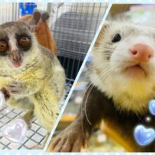 沢山遊びましょ〜❗️Winterフェア開催中☃❄