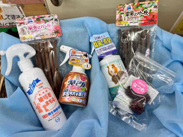 うさモル🐰🌱お迎え応援キャンペーン⭐️