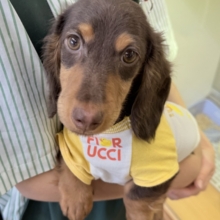 最新📷イケメンなカニンヘンダックスくん