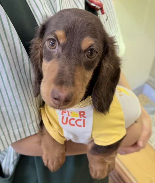 最新📷イケメンなカニンヘンダックスくん