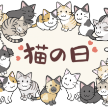 嬉しい告知🔈にゃんにゃんにゃんフェア開催決定〜🐾✨