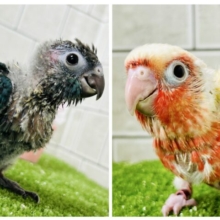 新生活応援フェア開催します！！