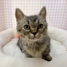 最新📷激甘々！ラムキンちゃん！