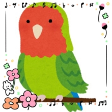 ❤️コザ満開で〜す🤍さくら祭り開催っ❕🌸